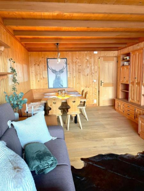 Cozy apartment in St. Moritz
